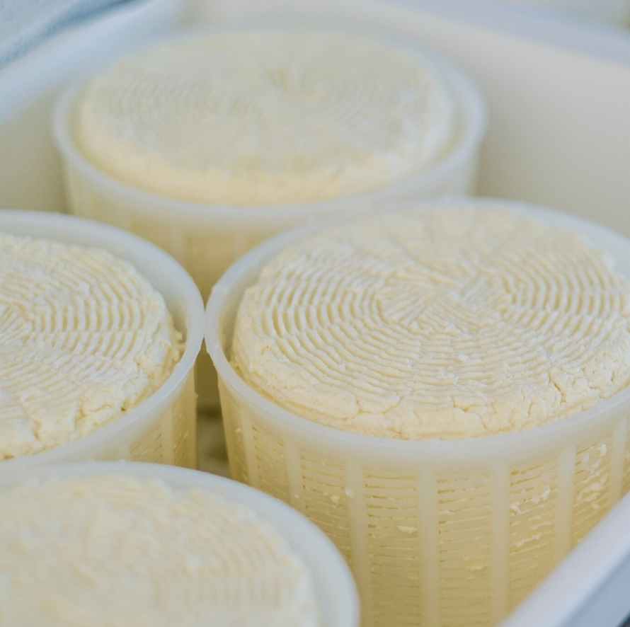 Ricottina Stagionata - Ciocoricotta