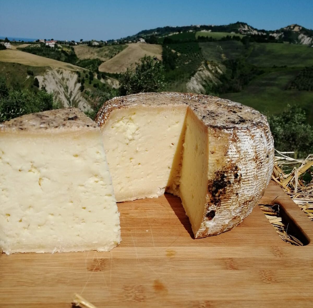 Pecorino di Atri - affinato in giara di terracotta