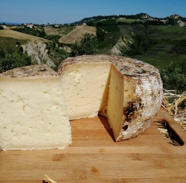 Pecorino di Atri - affinato in giara di terracotta