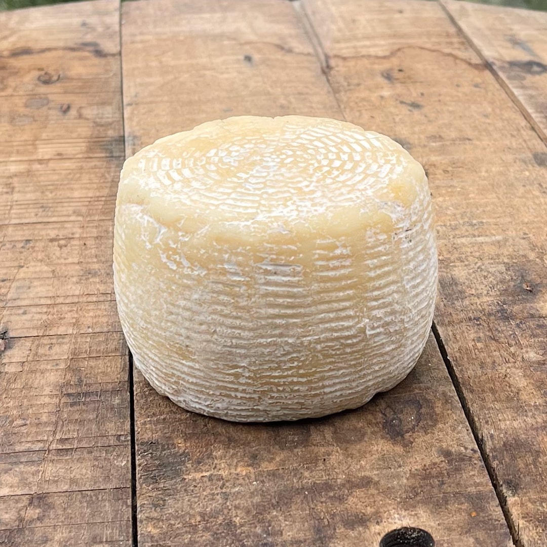 Pecorino di Atri - Semi stagionato