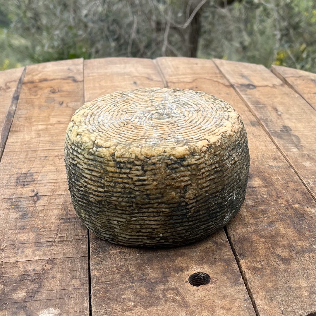 Pecorino di Atri - Stagionato - immagine 2